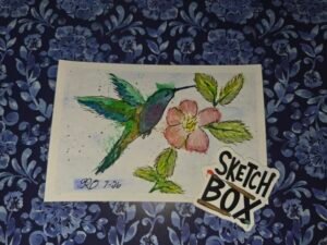 Green and blue watercolor hummingbird hovering beside a pink flower, painted for the July 2026 SketchBox School project. 